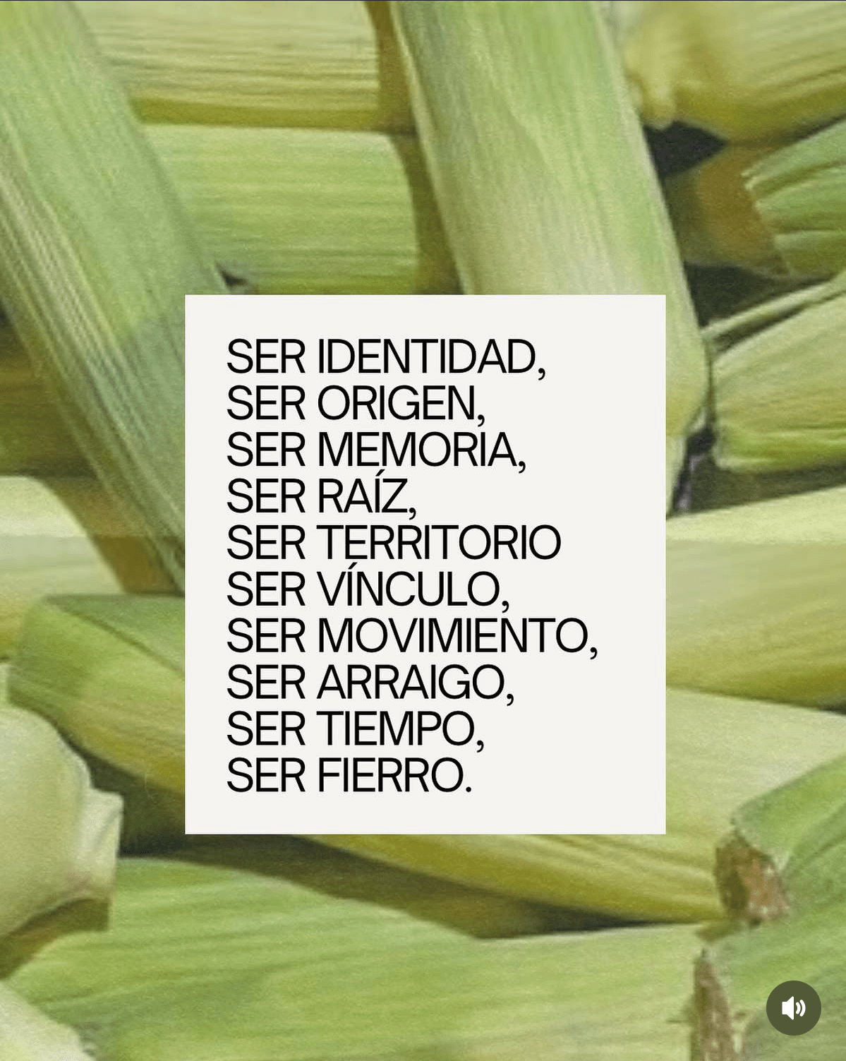 Serie Ser Fierro en pantalla